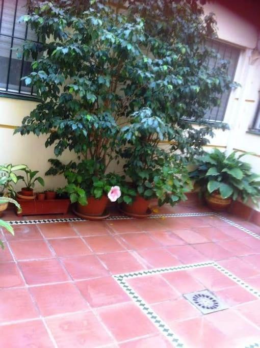 Apartamento Paola El Puerto de Santa Maria Bagian luar foto